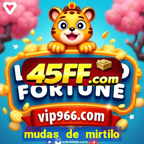 mudas de mirtilo em porto alegre